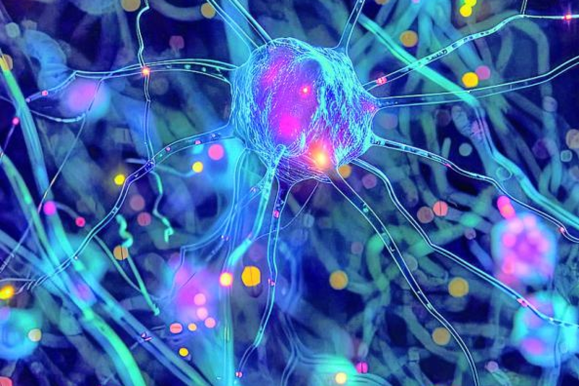 L' Epigenetica 