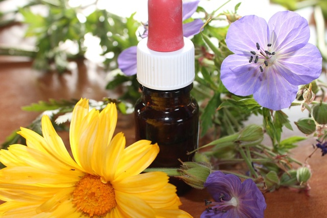 L'OMEOPATIA: UN APPROFONDIMENTO SULLA  MEDICINA  ALTERNATIVA