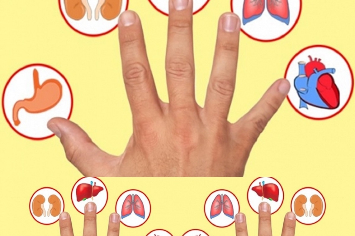 OGNI DITO E'  COLLEGATO A UN ORGANO :SCOPRI QUESTO METODO GIAPPONESE  