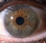 IL VENTRE DELL'ANIMA 