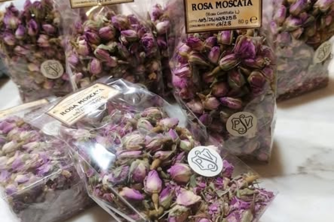 ROSA MOSCATA : IL FIORE CHE CURA IL CORPO  E RACCONTA L'ANIMA